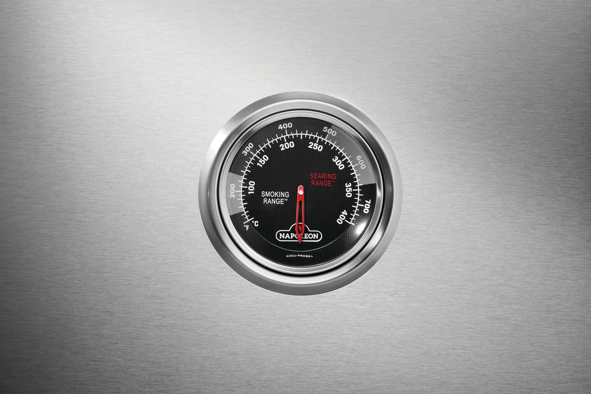 Napoleon Prestige 665 RSIB Gas Grill (Non-Connected), view 4